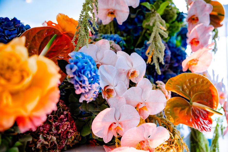 A stunning array of colorful flowers including orchids and anthuriums, captured in vibrant detail.